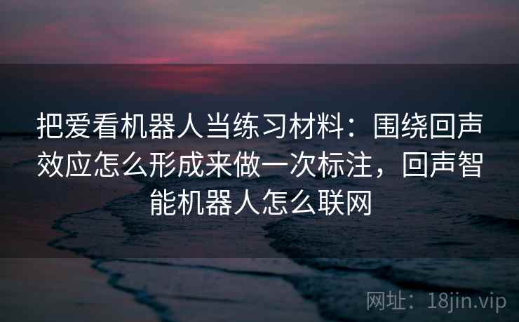 把爱看机器人当练习材料：围绕回声效应怎么形成来做一次标注，回声智能机器人怎么联网