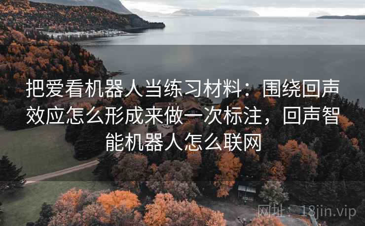 把爱看机器人当练习材料：围绕回声效应怎么形成来做一次标注，回声智能机器人怎么联网