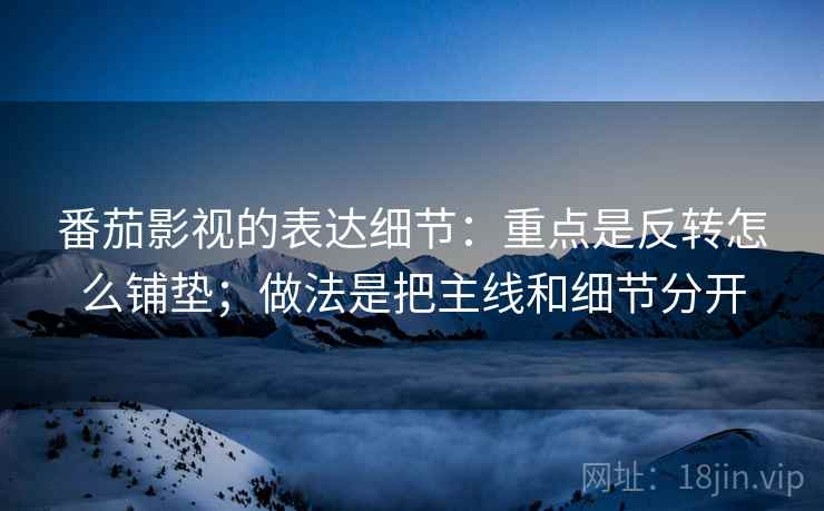 番茄影视的表达细节:重点是反转怎么铺垫;做法是把主线和细节分开