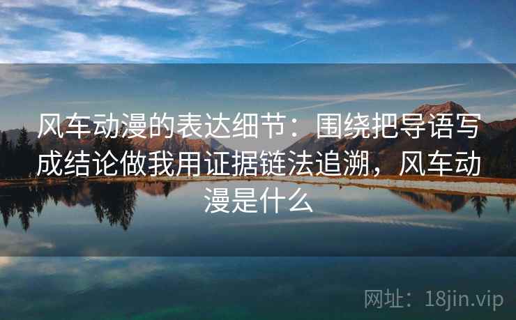 风车动漫的表达细节：围绕把导语写成结论做我用证据链法追溯，风车动漫是什么