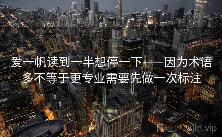 爱一帆读到一半想停一下——因为术语多不等于更专业需要先做一次标注